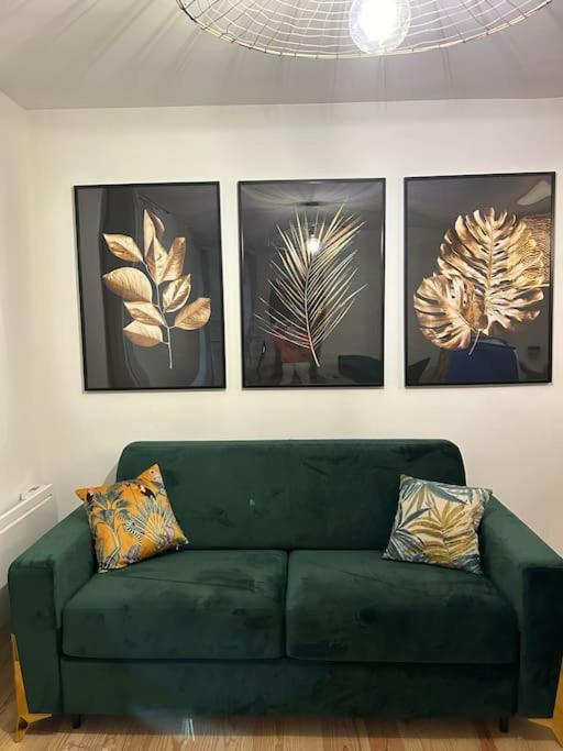 Le Floral Daire Carcassonne Dış mekan fotoğraf